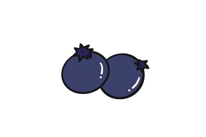 蓝莓简笔画画法步骤