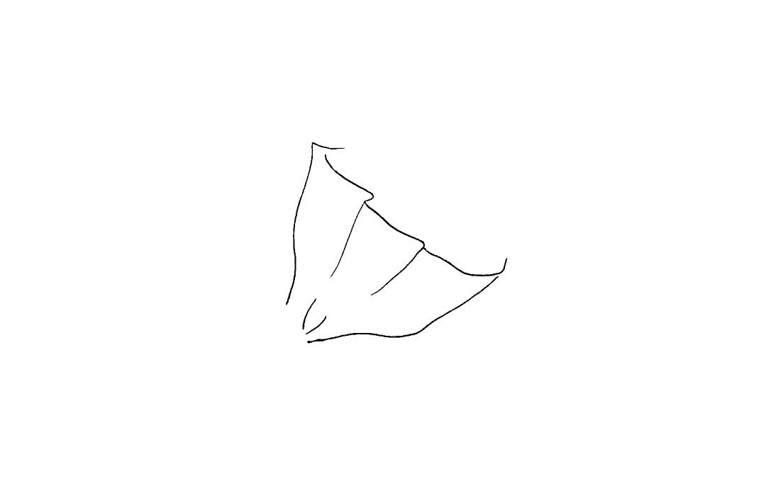 一束花简笔画画法步骤