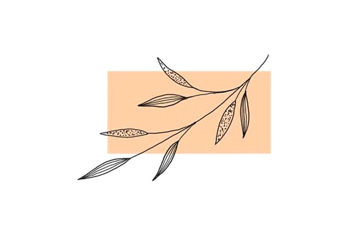 植物花草简笔画12种漂亮的小草简笔画图片