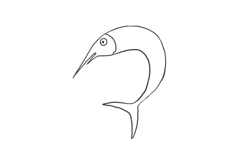 海洋生物剑鱼简笔画画法步骤