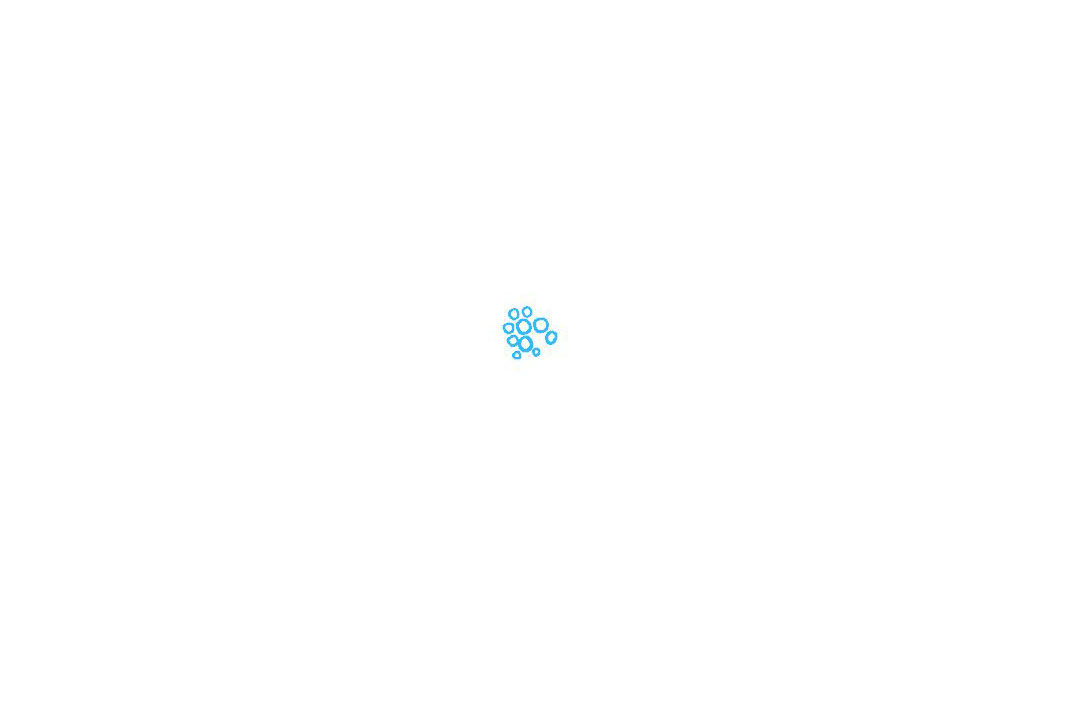 一品红简笔画怎么画