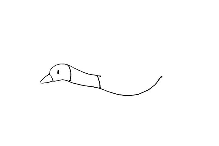 大雁简笔画画法教程