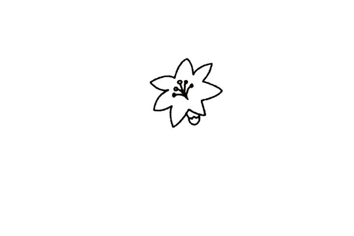 百合花的简笔画画法