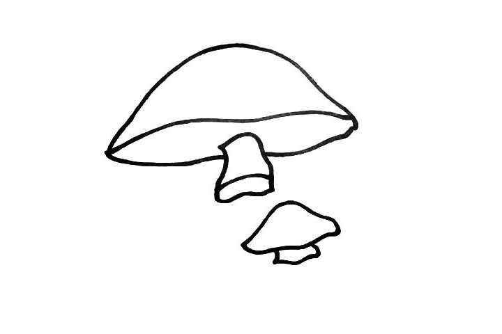 漂亮的蘑菇简笔画画法步骤