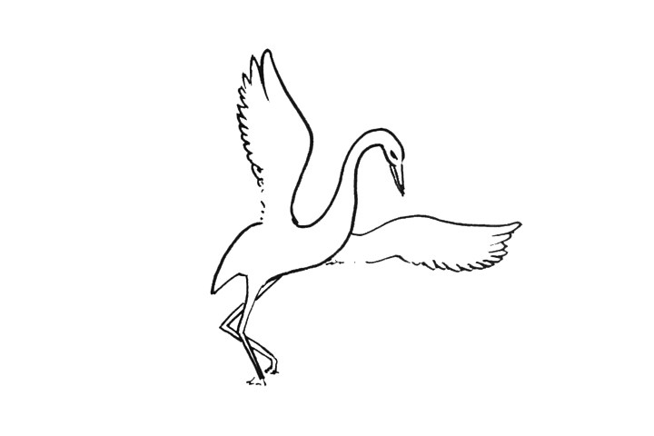 白鹭怎么画