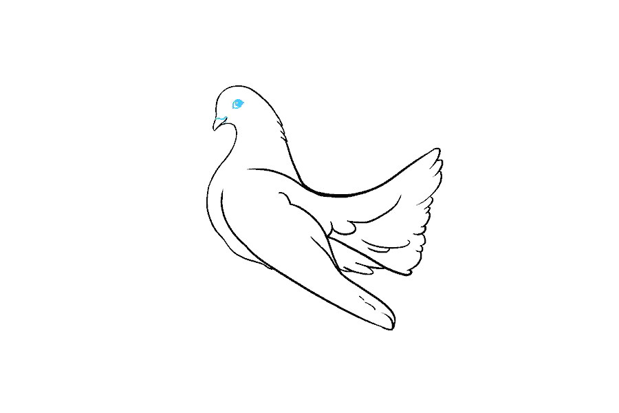鸽子怎么画