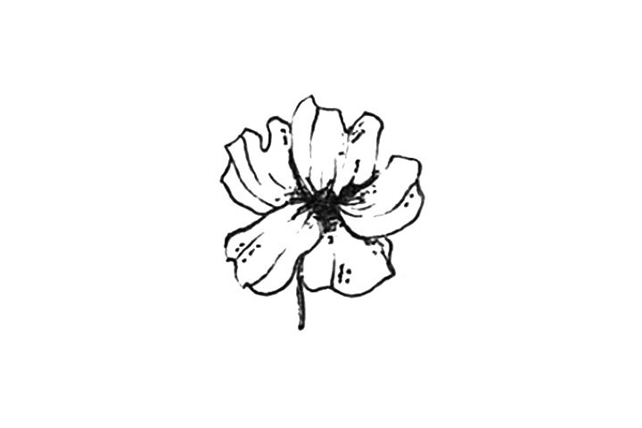 23种漂亮小花简笔画图片