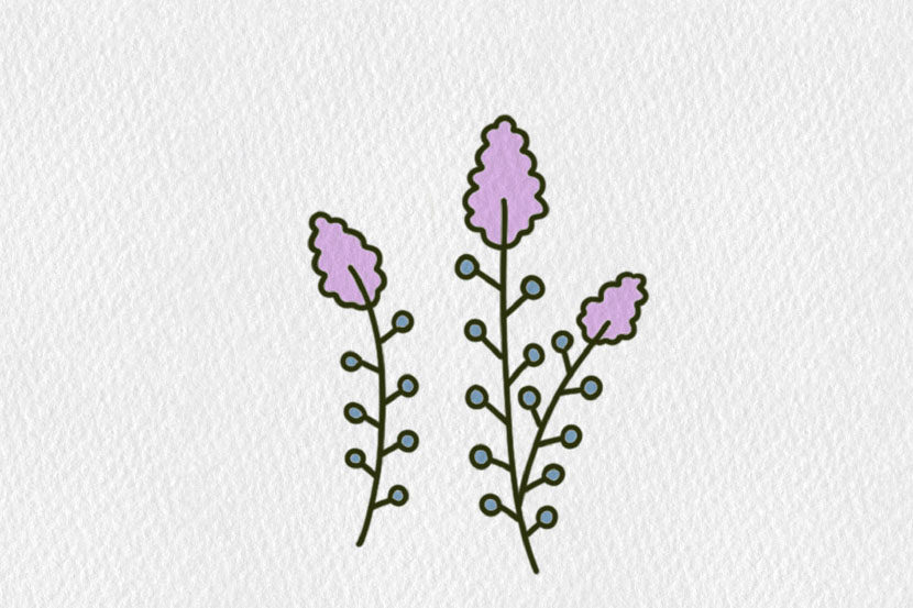 小清新彩色花朵简笔画