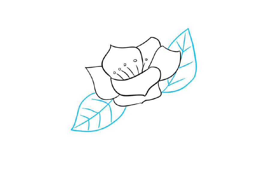 如何画树枝上漂亮的花朵