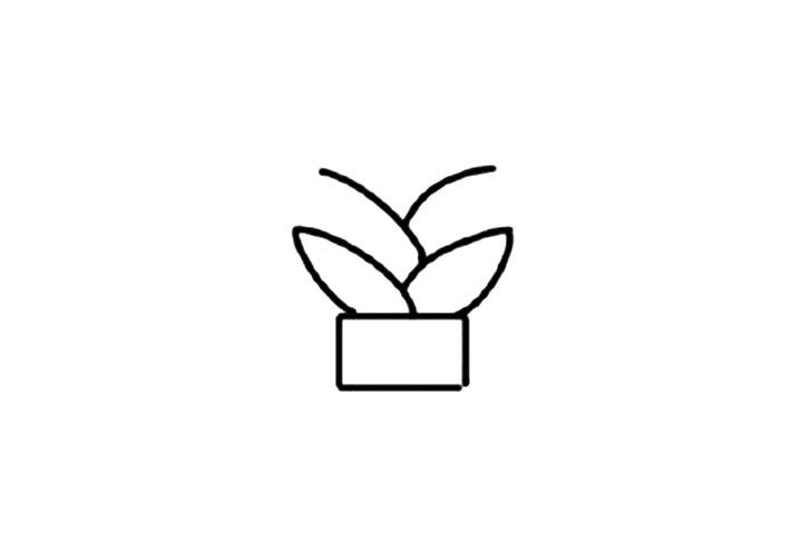 芦荟简笔画教程