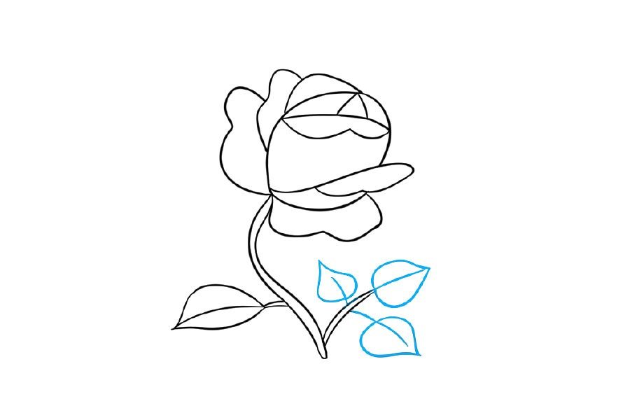 学画漂亮的小花简笔画