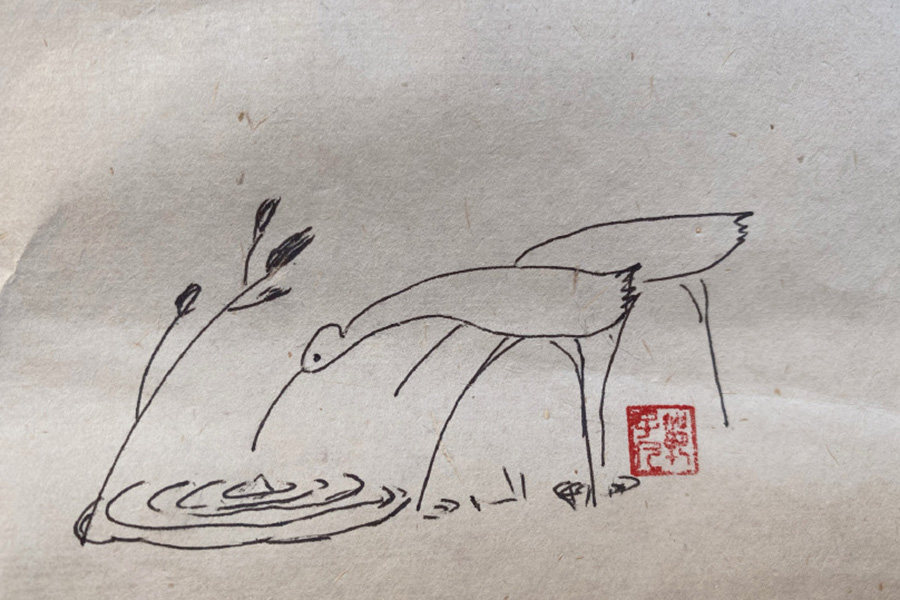 池塘风景简笔画图片