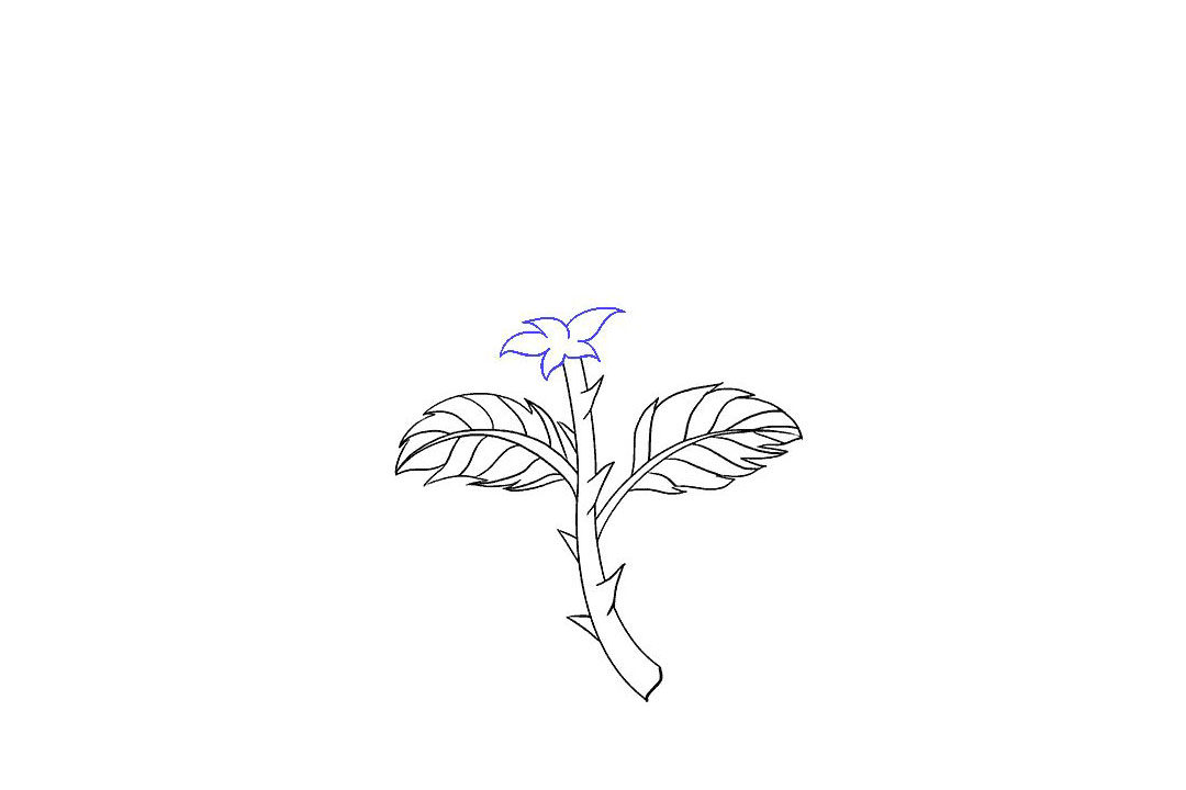 如何画一朵漂亮的玫瑰花