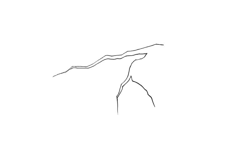 桃树简笔画画法步骤