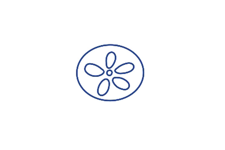 藕片怎么画