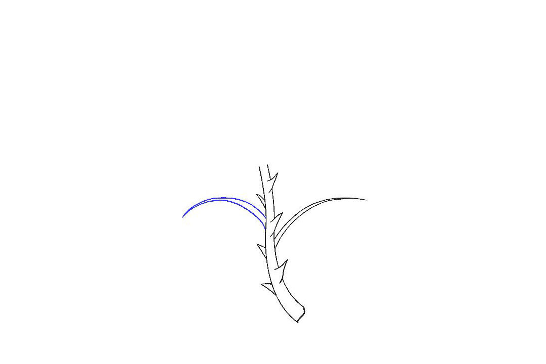 如何画一朵漂亮的玫瑰花