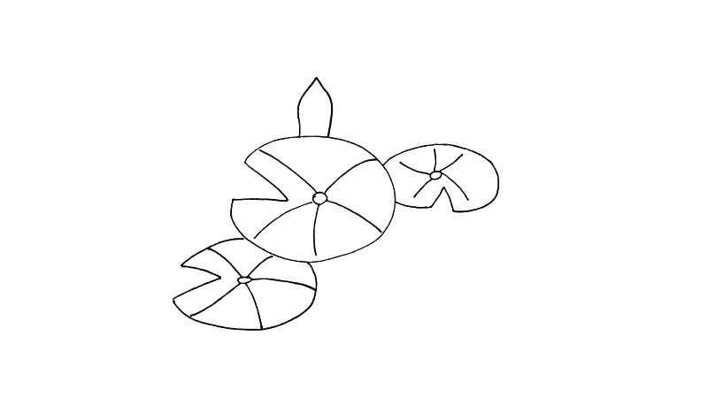 莲花简笔画教程