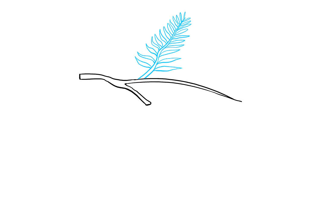 如何画松果简笔画