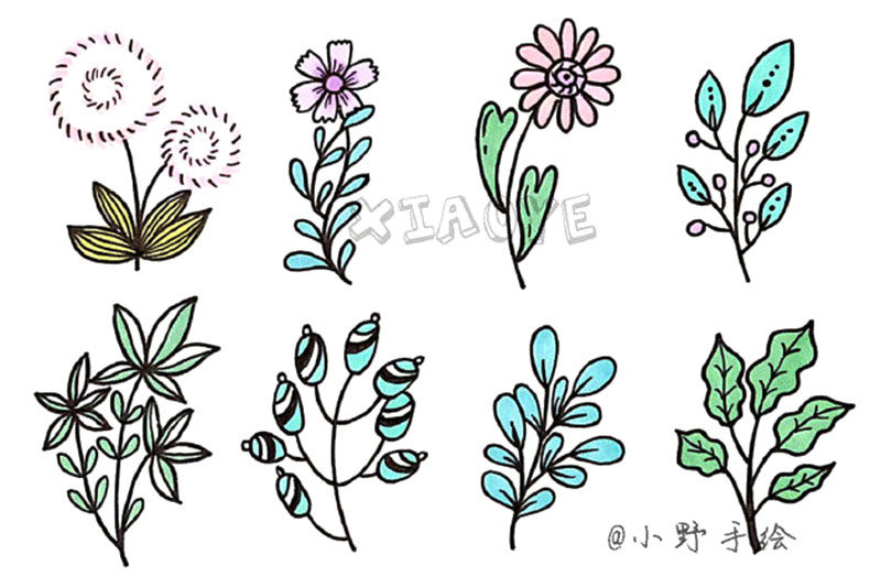 草长莺飞 春天漂亮的花草简笔画图片