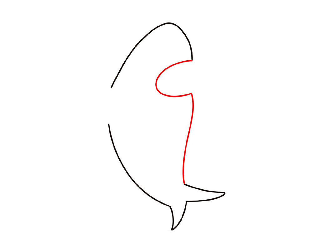 鲨鱼简笔画画法教程