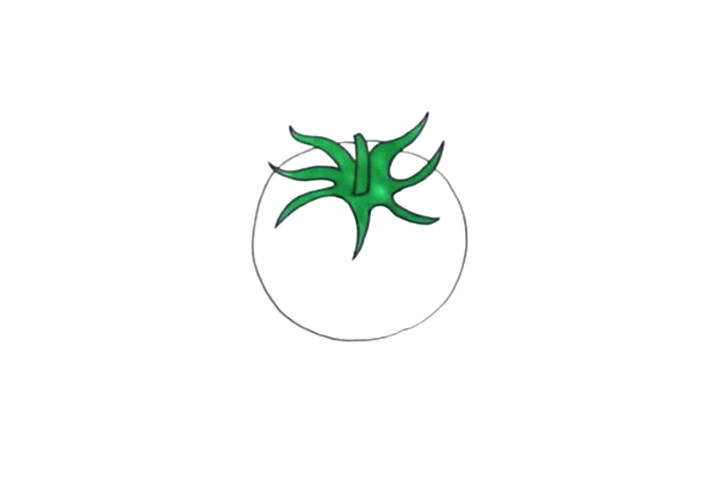 简单的西红柿简笔画步骤