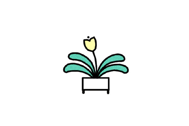 君子兰简笔画教程