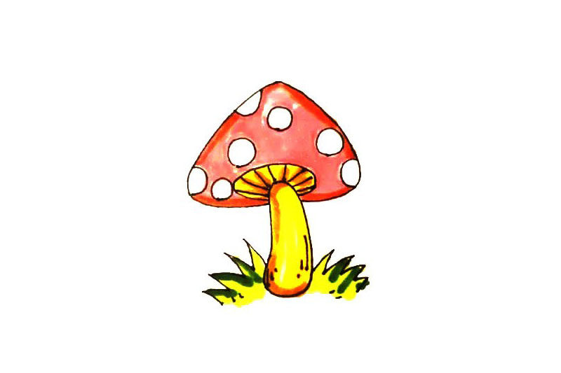 漂亮的蘑菇简笔画画法