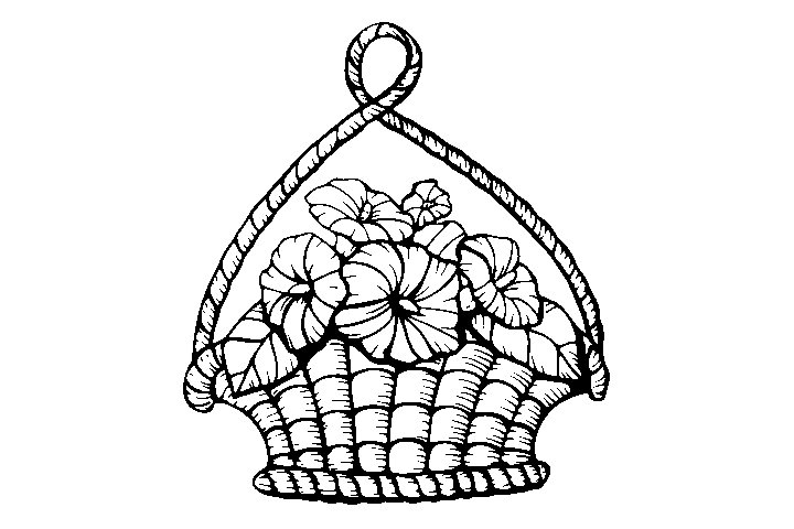 漂亮的花篮填色画
