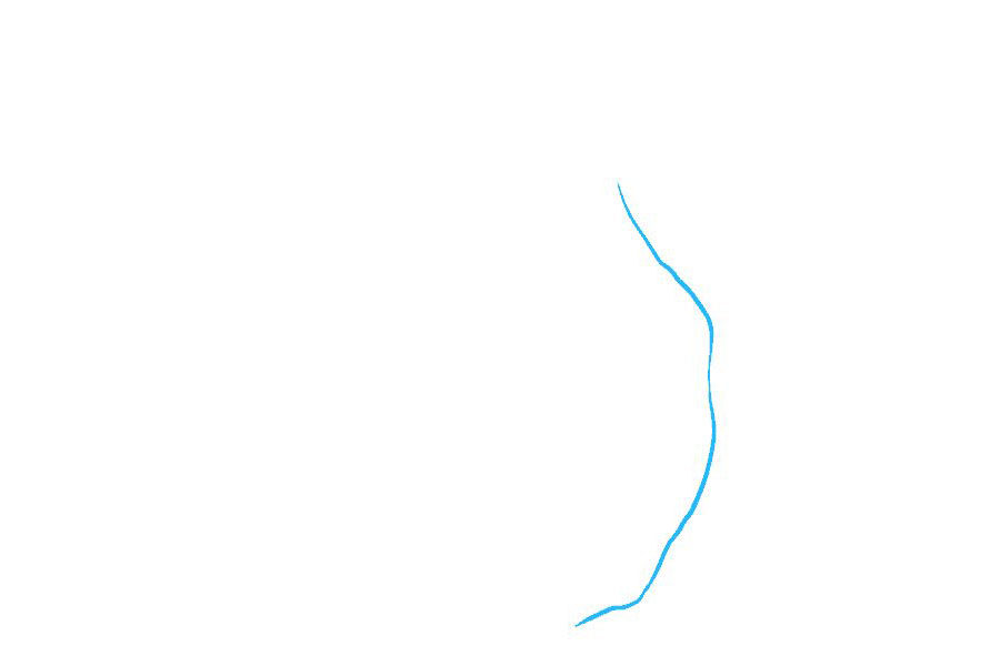 卡通森林简笔画的画法