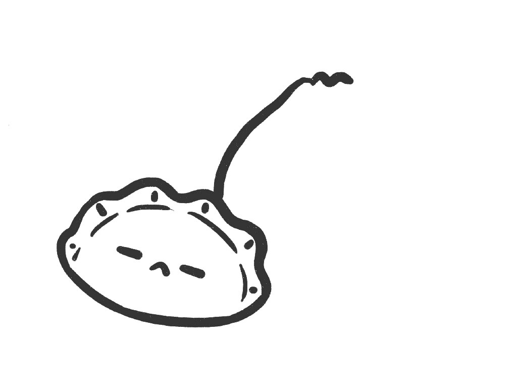 饺子包子超简单早餐简笔画教程