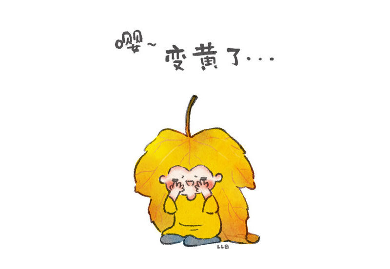 一组漂亮的小叶子表情简笔画图片