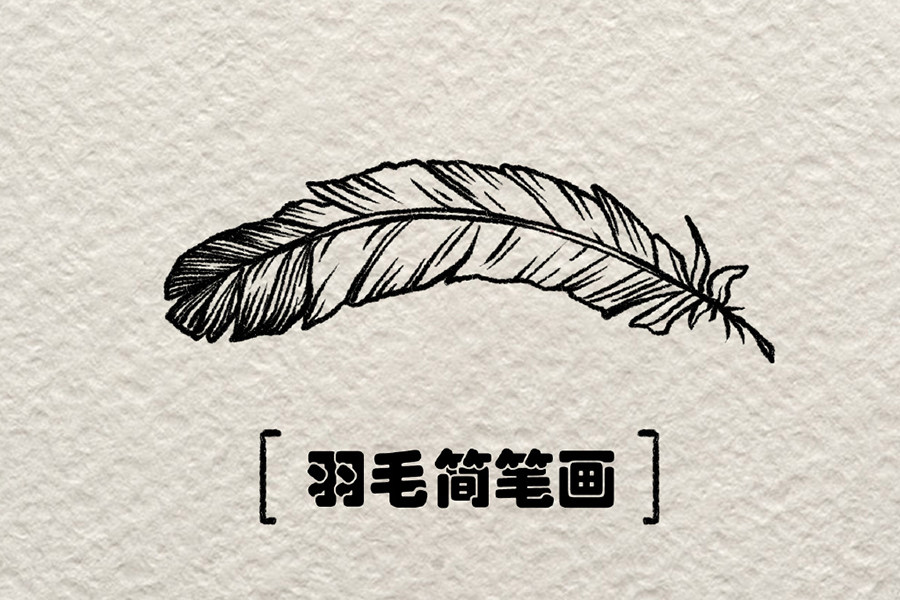 一根羽毛插画简笔画步骤