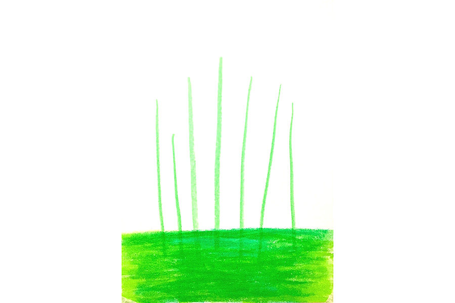 春天里一片油菜花怎么画