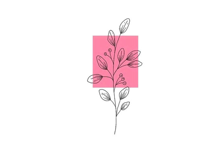 植物花草简笔画12种漂亮的小草简笔画图片