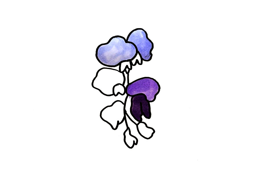 紫藤花怎么画