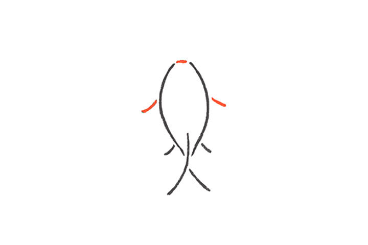 红红火火画锦鲤 红火锦鲤基本款