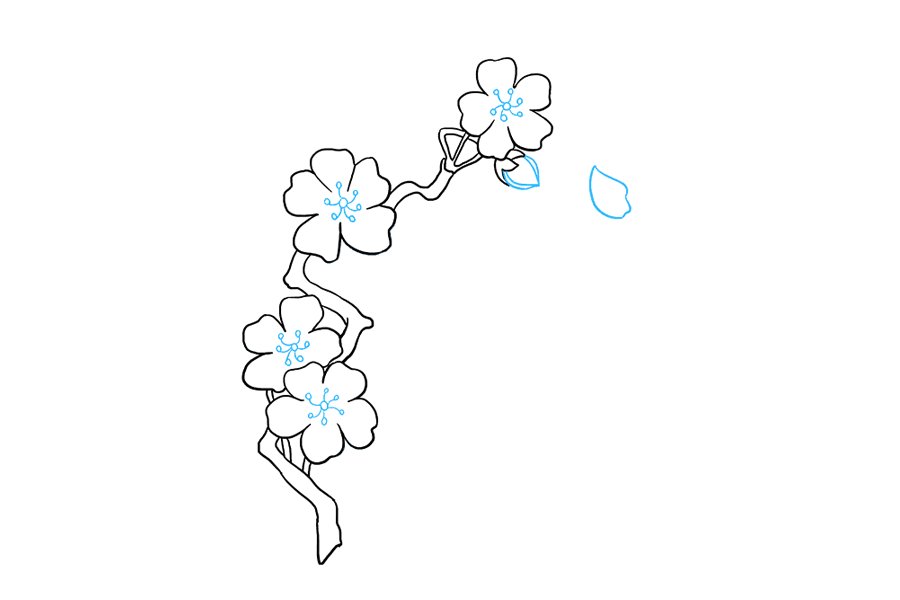 如何画樱花