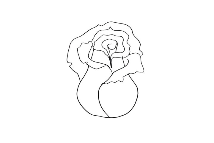 粉玫瑰简笔画画法步骤