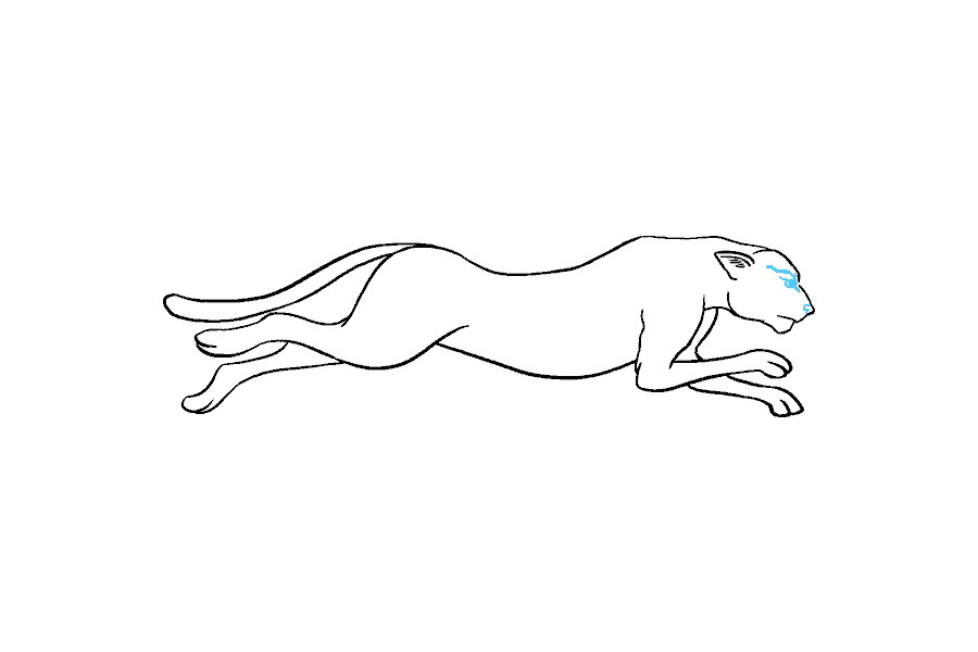 如何画猎豹