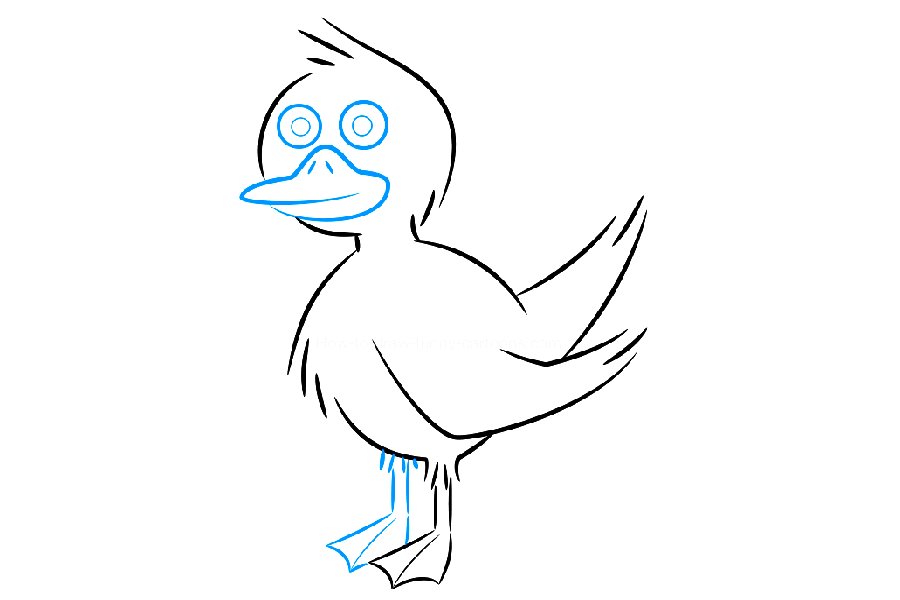 一只黄色鸭子简笔画步骤