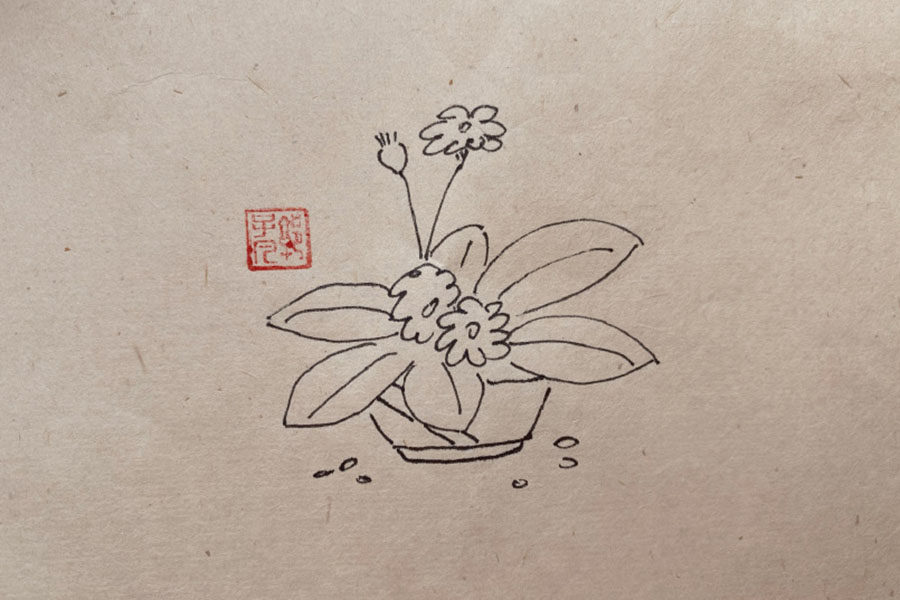 简单漂亮的花瓶插花简笔画图片