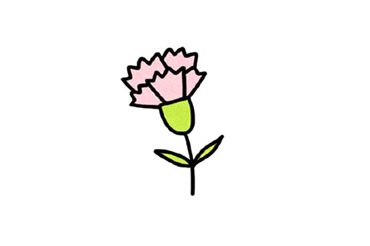 可爱小花康乃馨简笔画教程