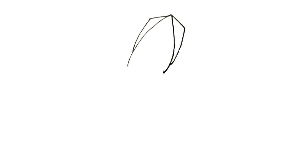 鱿鱼简笔画画法步骤