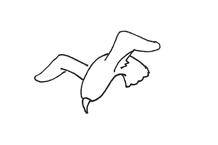 海鸥简笔画画法步骤