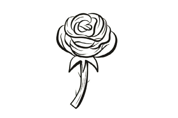 8种玫瑰花的画法