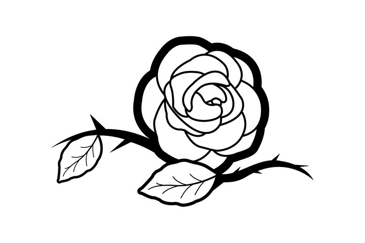 各种漂亮的花朵简笔画