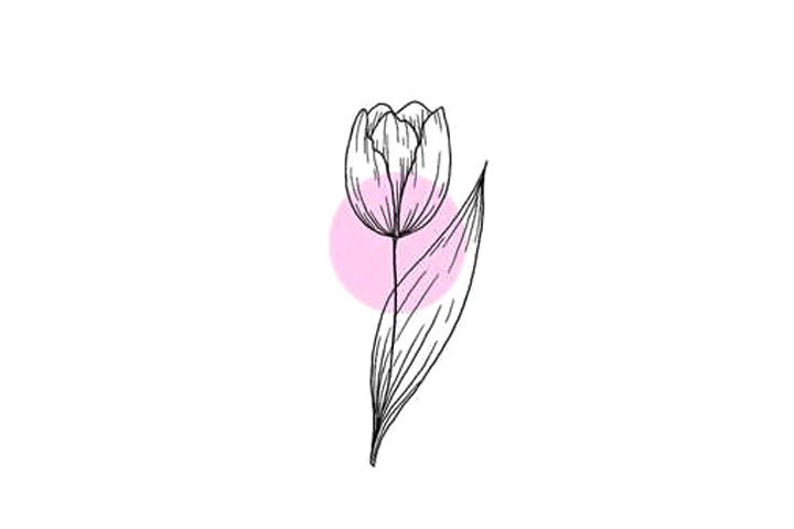 植物花草简笔画漂亮的小花简笔画图片
