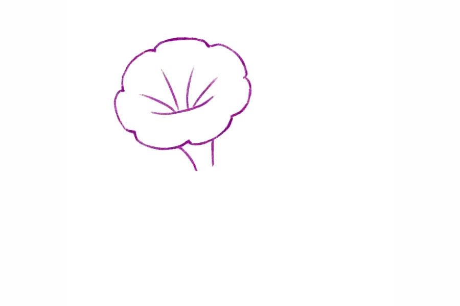 简单几笔画一朵美丽的牵牛花