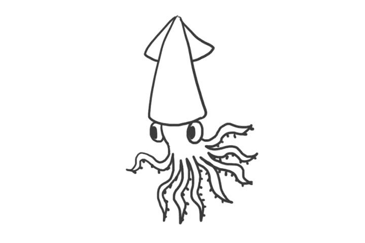 海洋生物乌贼简笔画怎么画