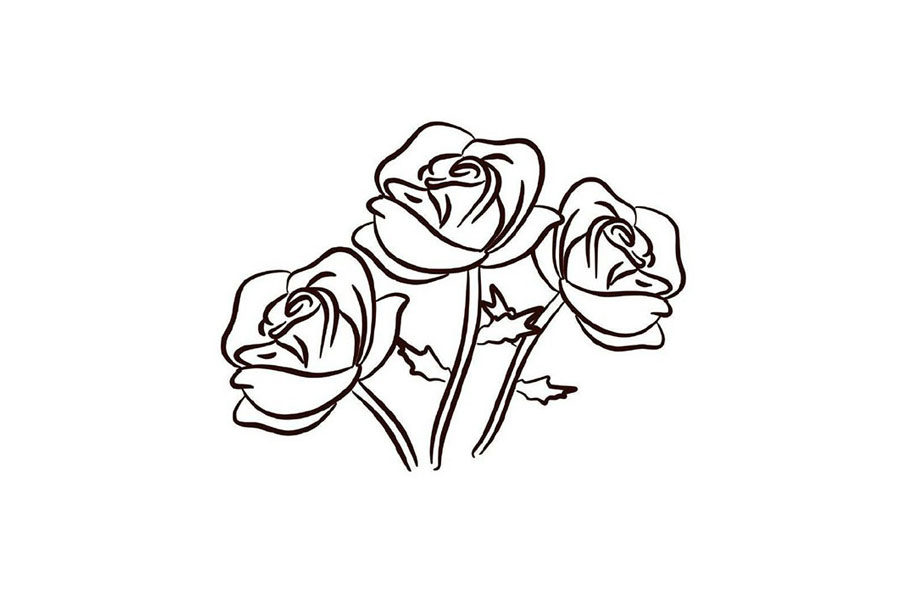 玫瑰花简笔画画法步骤